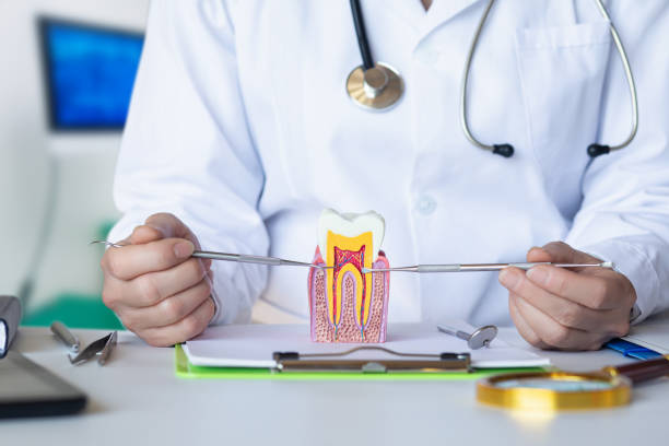 Best Tooth Pain Emergency Relief  in Columbia, IL